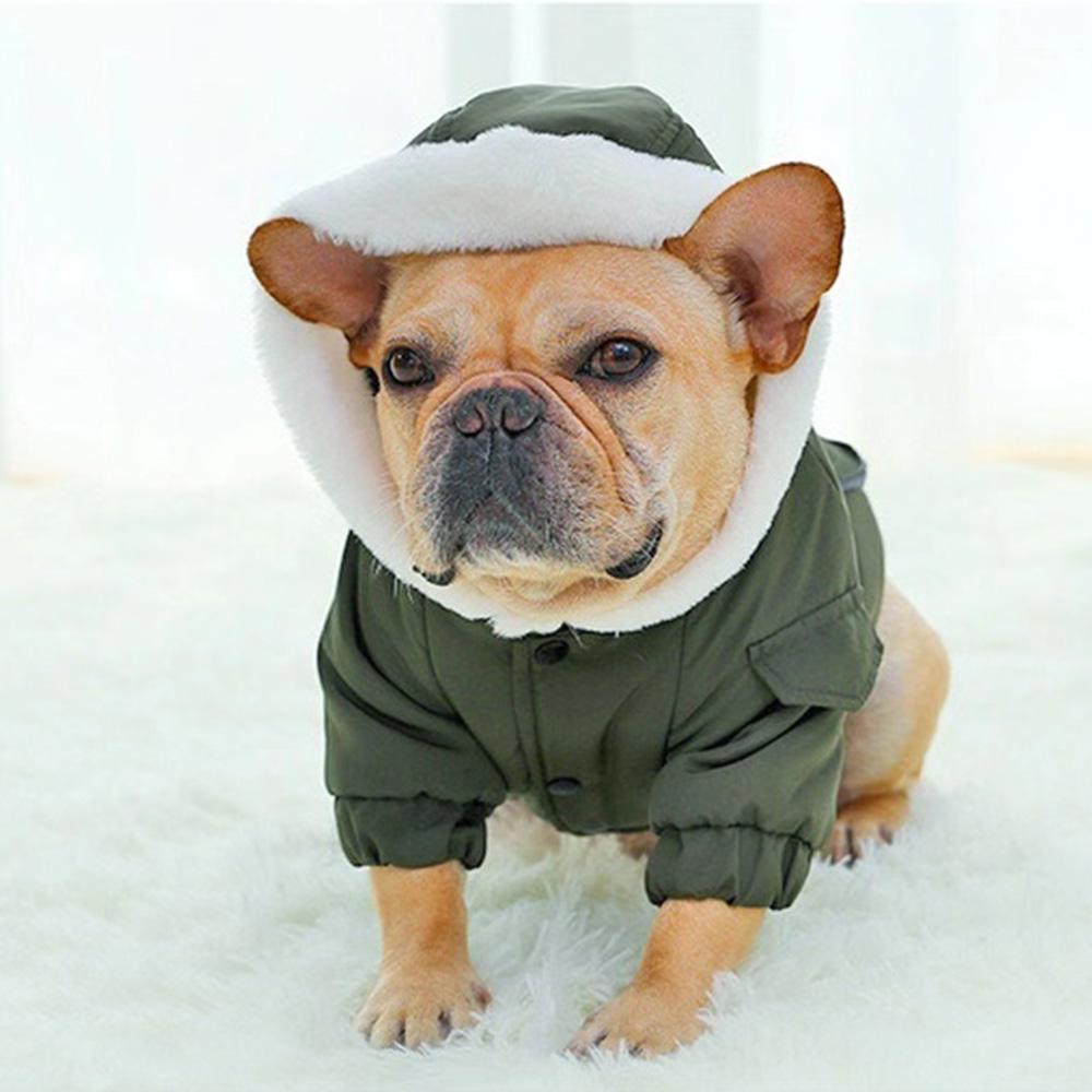 Dog Blue Jean jacket Fur Hoodie - Frenchiely