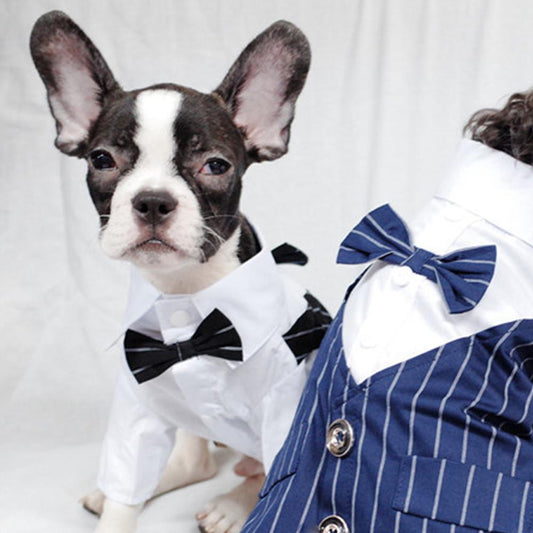 Dog Faux Two-Piece Wedding Suit with Necktie for French Bulldog - Frenchiely