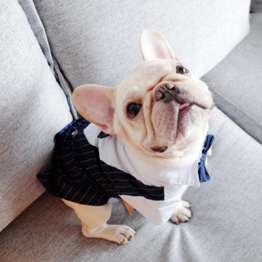 Dog Faux Two-Piece Wedding Suit with Necktie for French Bulldog - Frenchiely