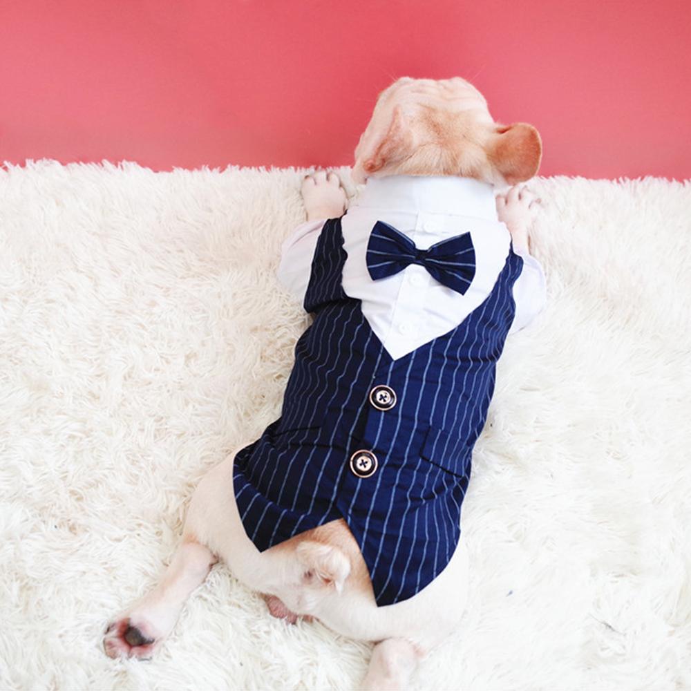 Dog Faux Two-Piece Wedding Suit with Necktie for French Bulldog - Frenchiely