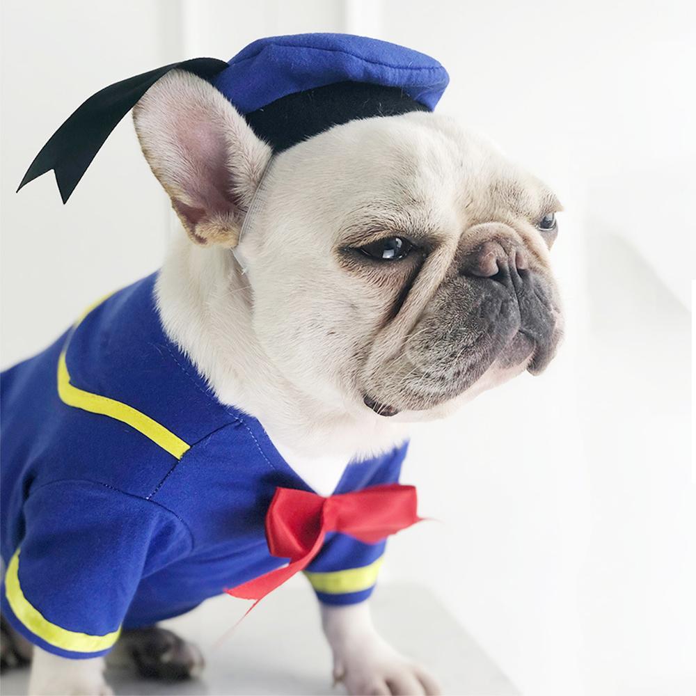 Dog Donald Duck Halloween Costume for Medium Dogs - Frenchiely