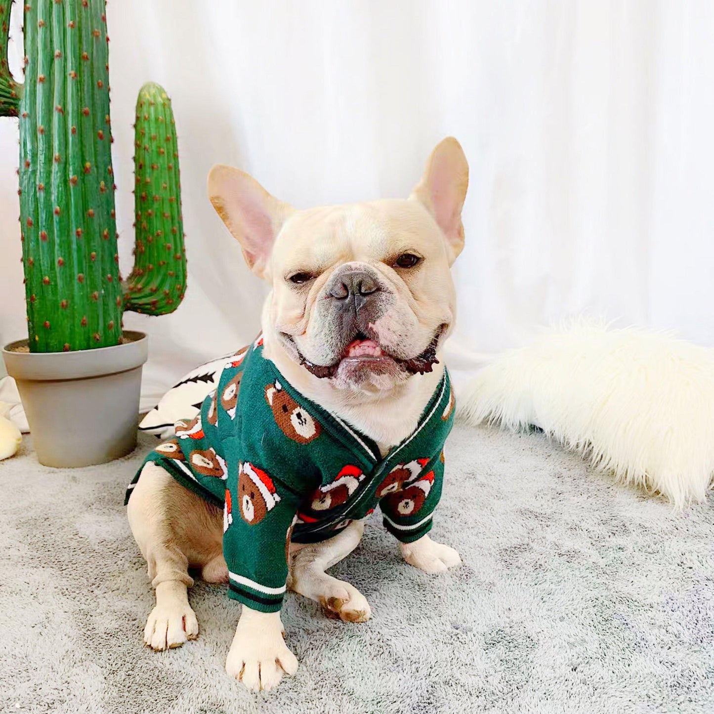 Christmas Sweater for French Bulldog - Frenchiely