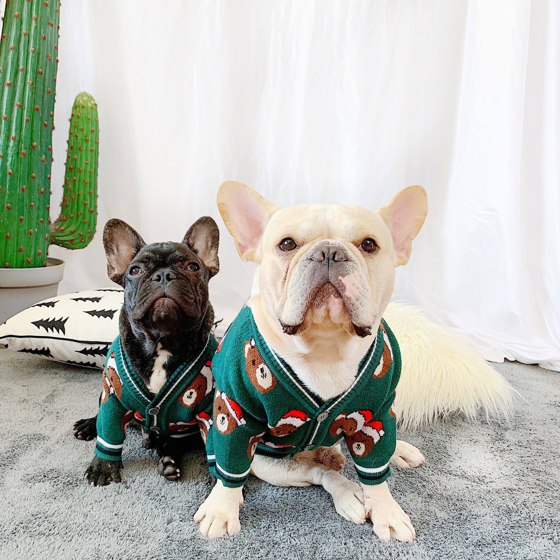 Christmas Sweater for French Bulldog - Frenchiely