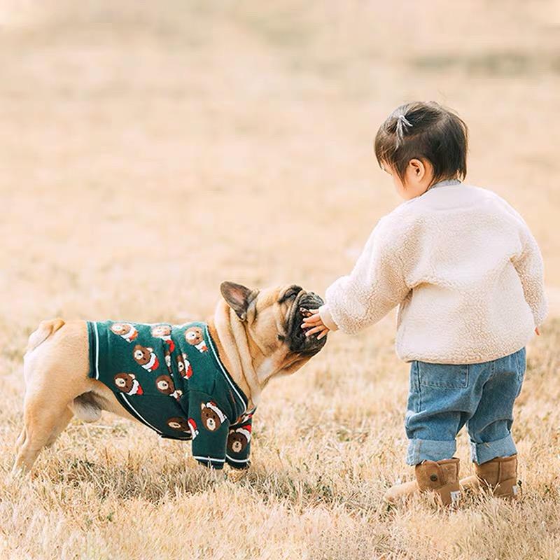 Christmas Sweater for French Bulldog - Frenchiely