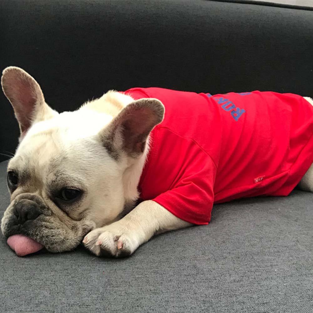 Loose-fit Short Sleeve Matching Frenchie Outfits - Frenchiely