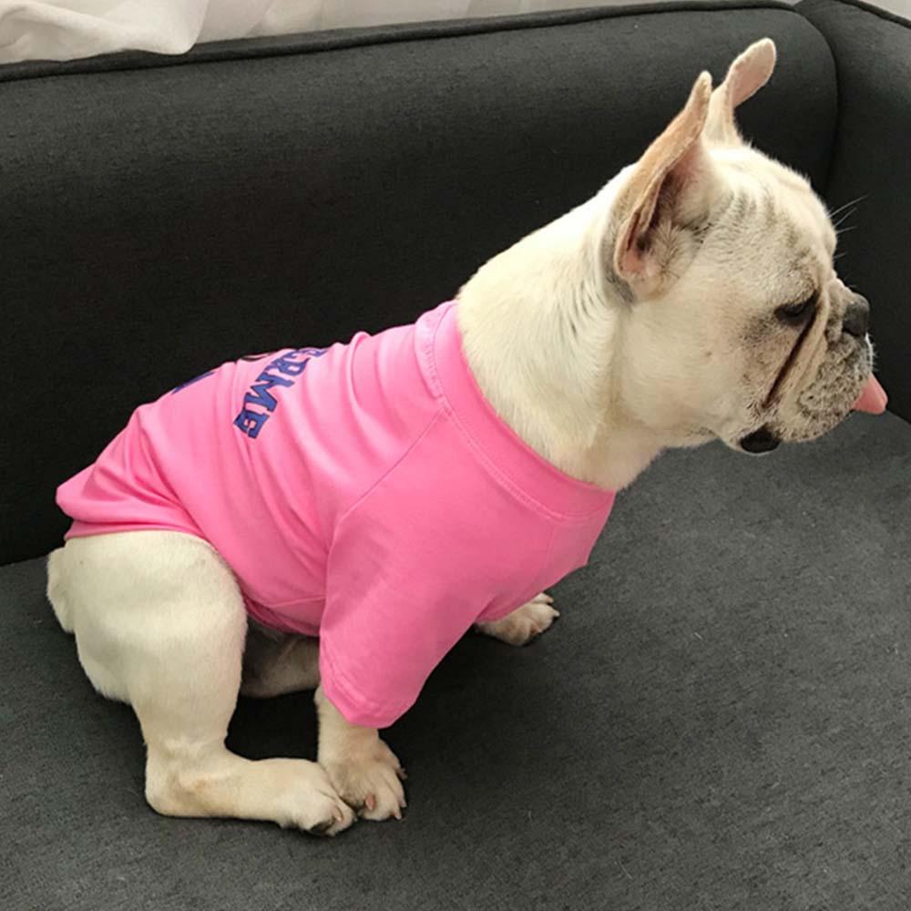 Loose-fit Short Sleeve Matching Frenchie Outfits - Frenchiely