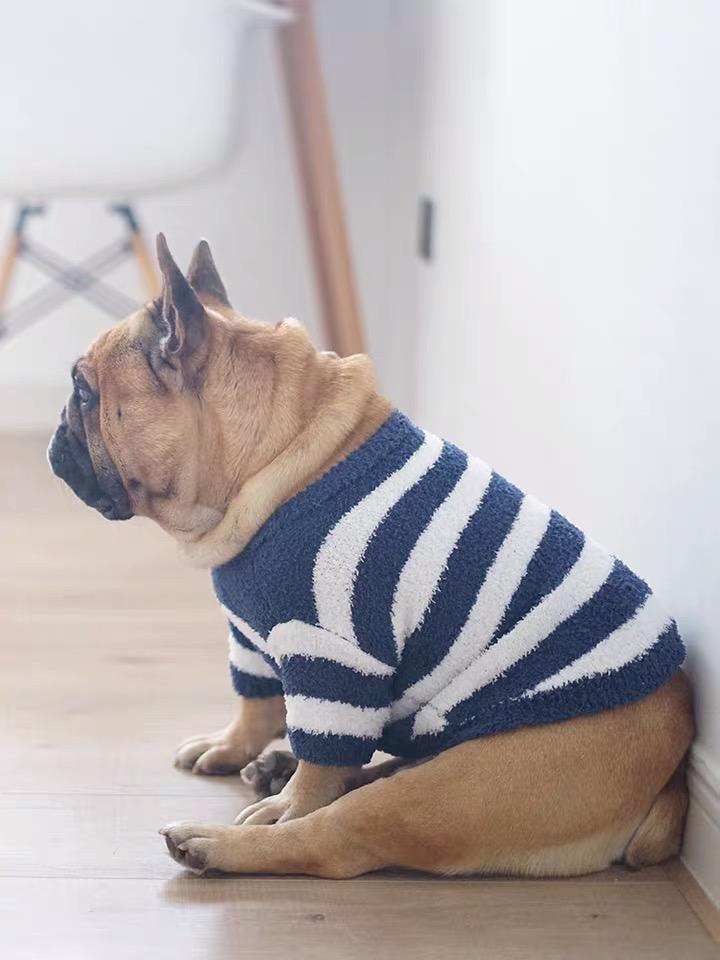 French Bulldog Puppy Sweater - Frenchiely