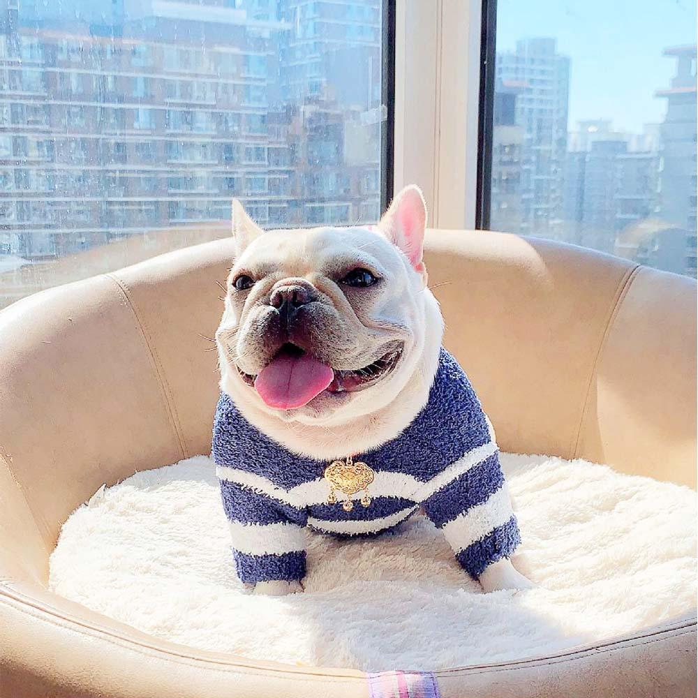 French Bulldog Puppy Sweater - Frenchiely