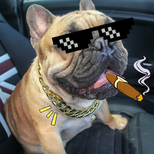 Golden Plastic Dog Chain for French Bulldog - Frenchiely