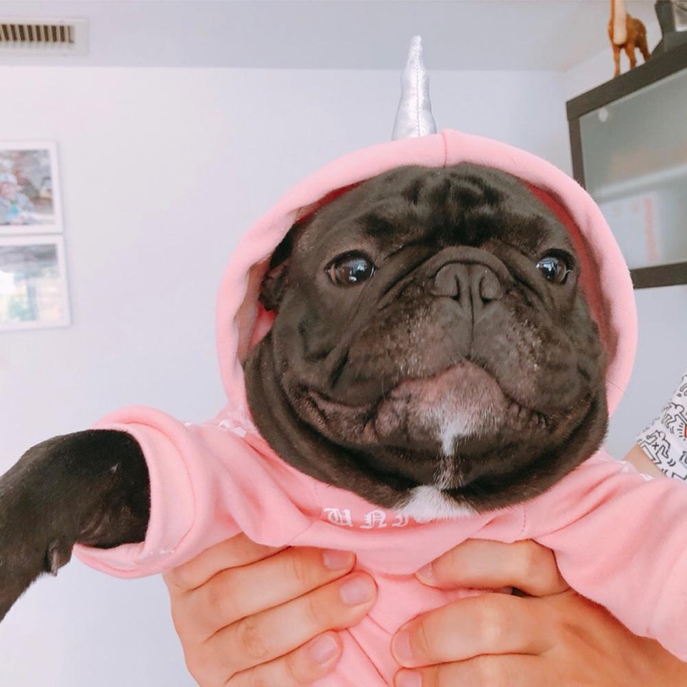 Dog Unicorn & Devil Hoodie Coat for Bulldogs - Frenchiely