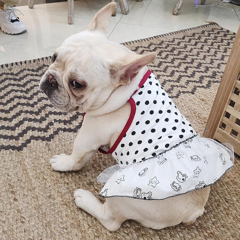 Dog Summer Dress for French Bulldogs - Frenchiely