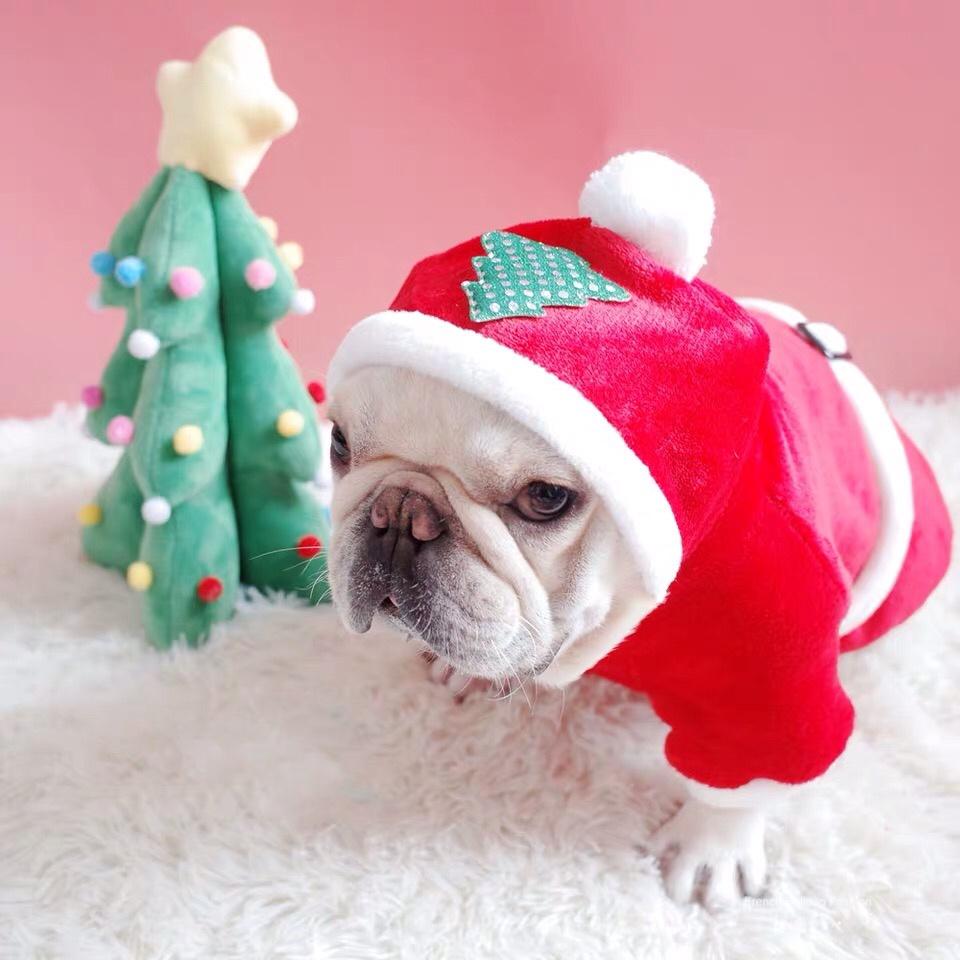 puppy bulldog santa outfit Christmas outfits for medium dogs - Frenchiely