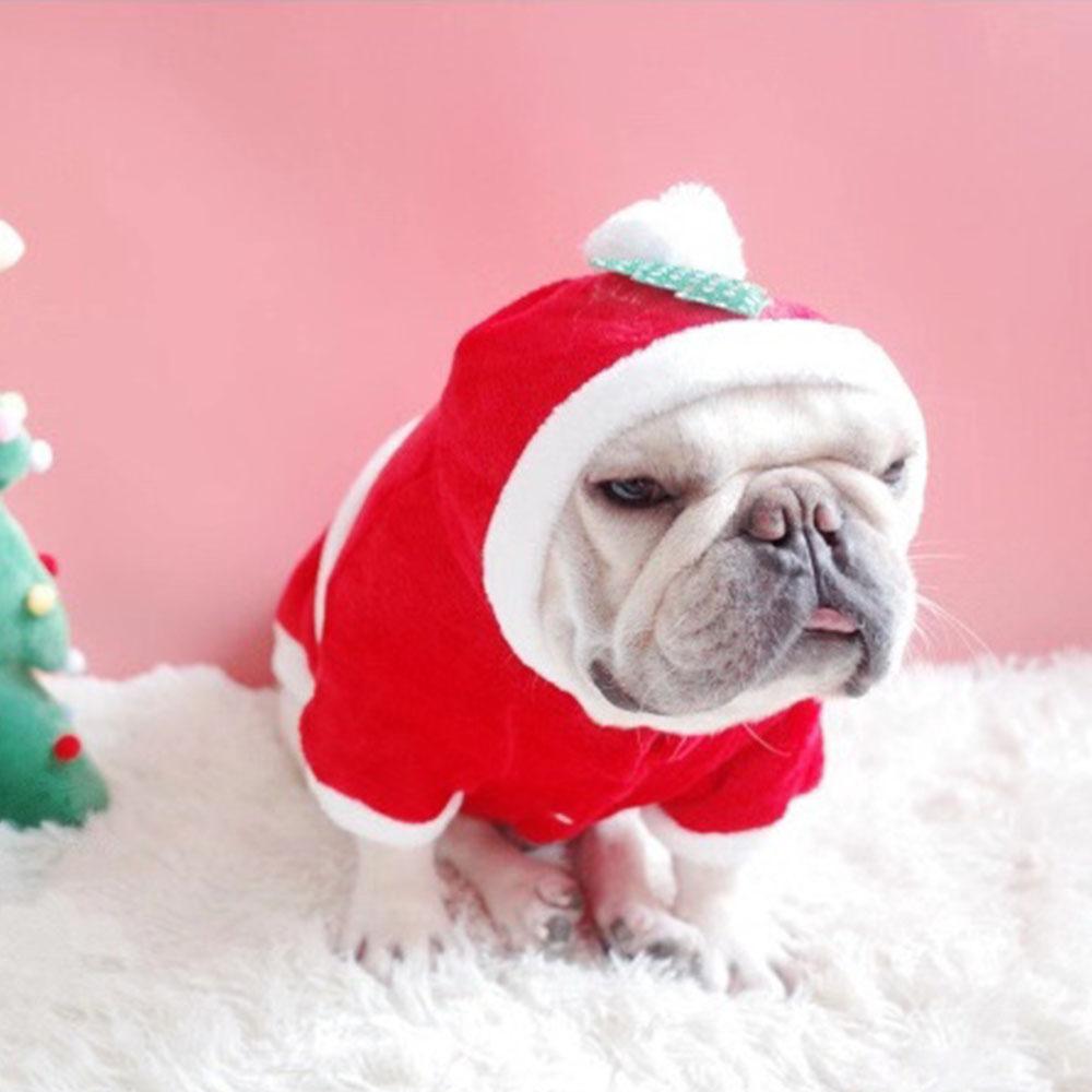 puppy bulldog santa outfit Christmas outfits for medium dogs - Frenchiely