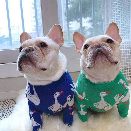 Cartoon Goose Soft Dog Sweaters - Frenchiely