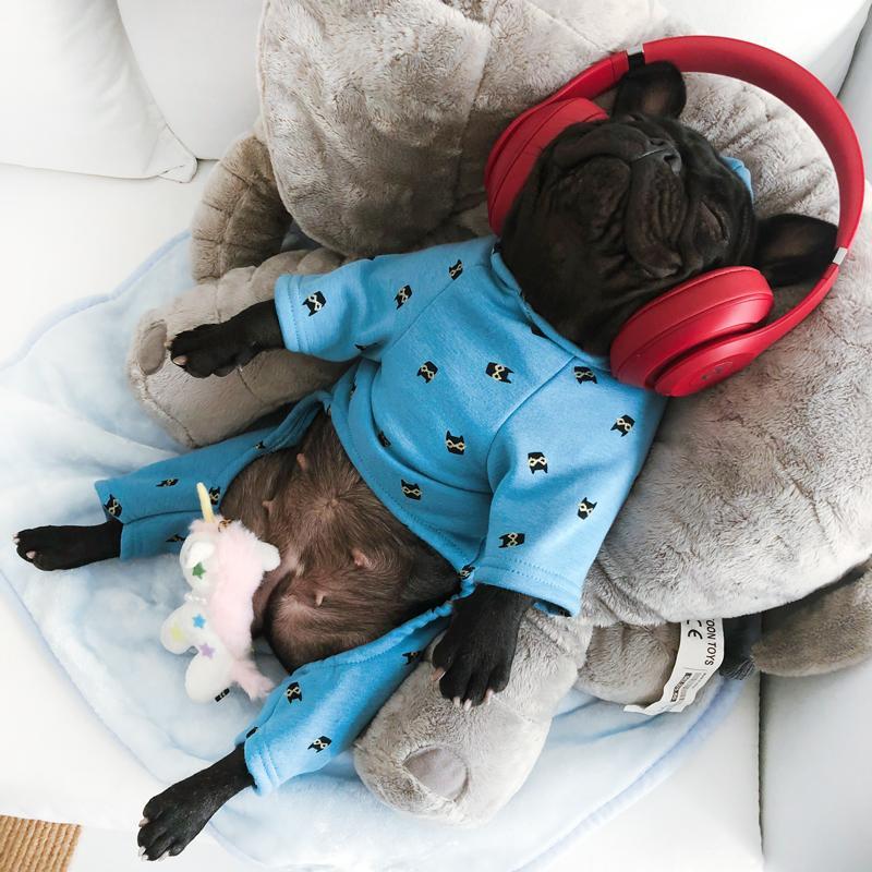 Dog Winter Onesie Pajamas - Frenchiely