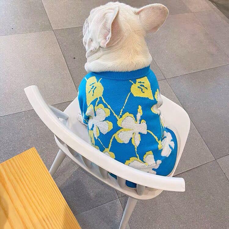 Dog Blue Flower Pullover Sweater for small medium dogs by Frenchiely 01
