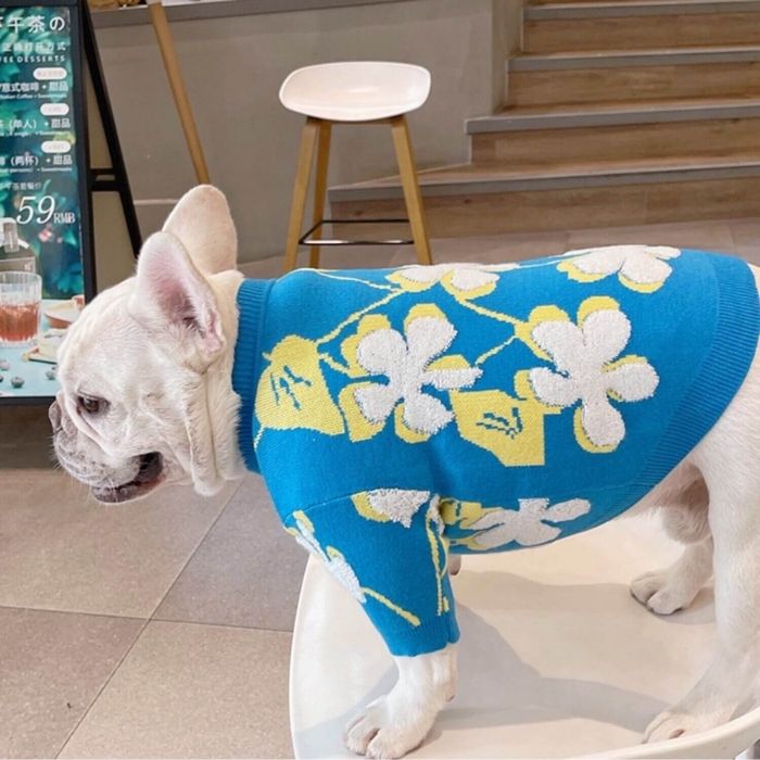 Dog Blue Flower Pullover Sweater for small medium dogs by Frenchiely 01