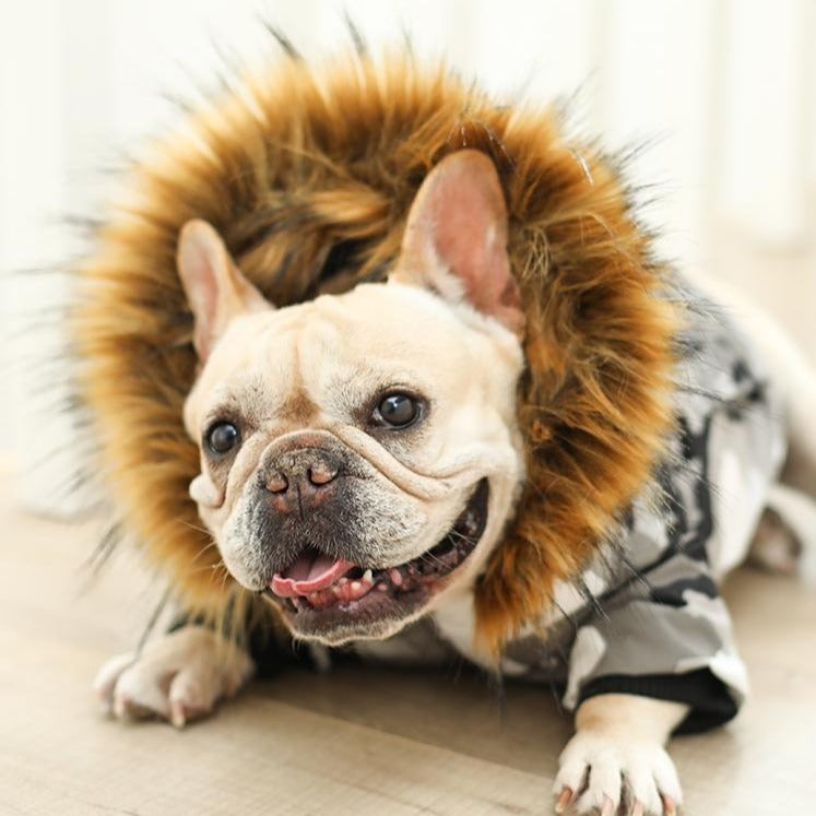 Dog Camo Winter Coat Parka with Fur Hood - Frenchiely