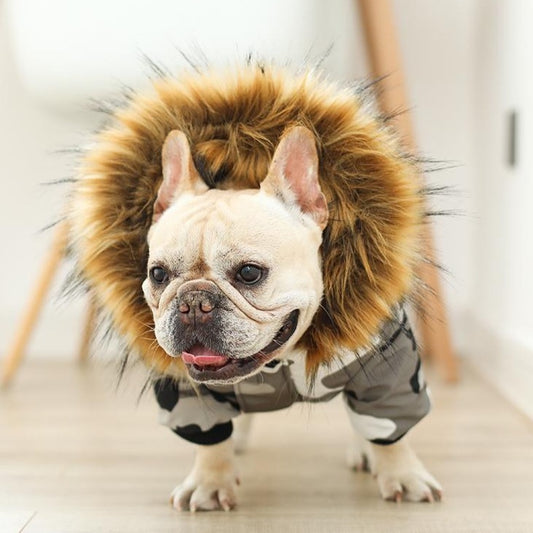 Dog Camo Winter Coat Parka with Fur Hood - Frenchiely