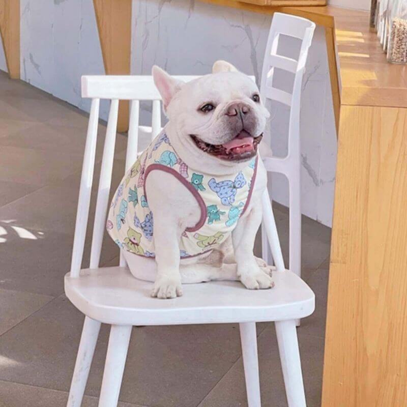 Dog Bear Cotton Shirt FOR FRENCH BULLDOGS BY FRENCHIELY