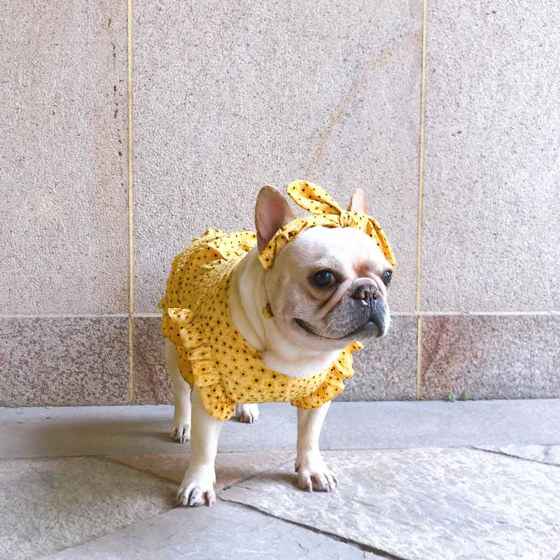 Dog Floral Puff Sleeve Dress - Frenchiely