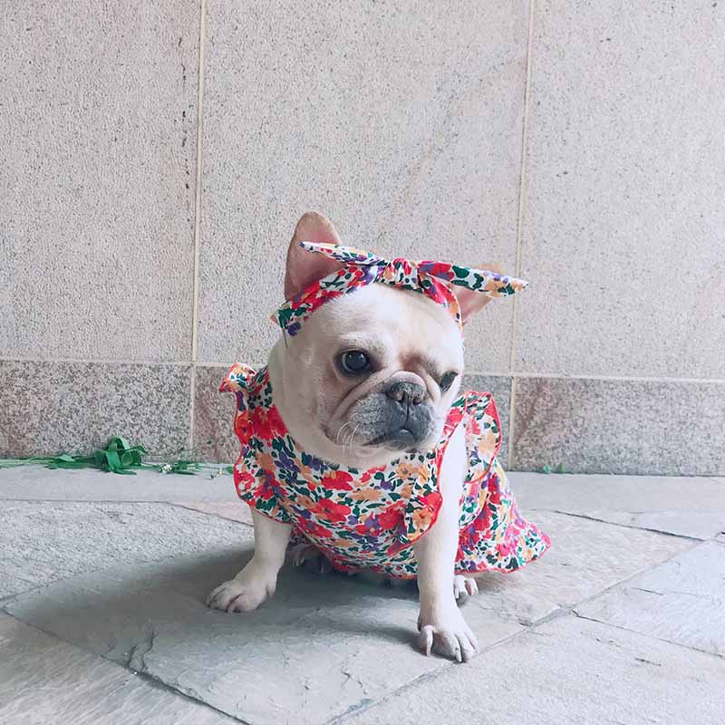 dog retro vintage floral dress - Frenchiely