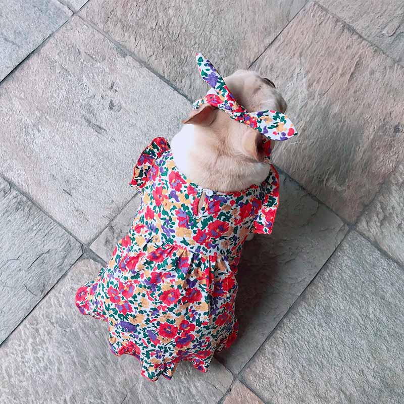 dog retro vintage floral dress - Frenchiely