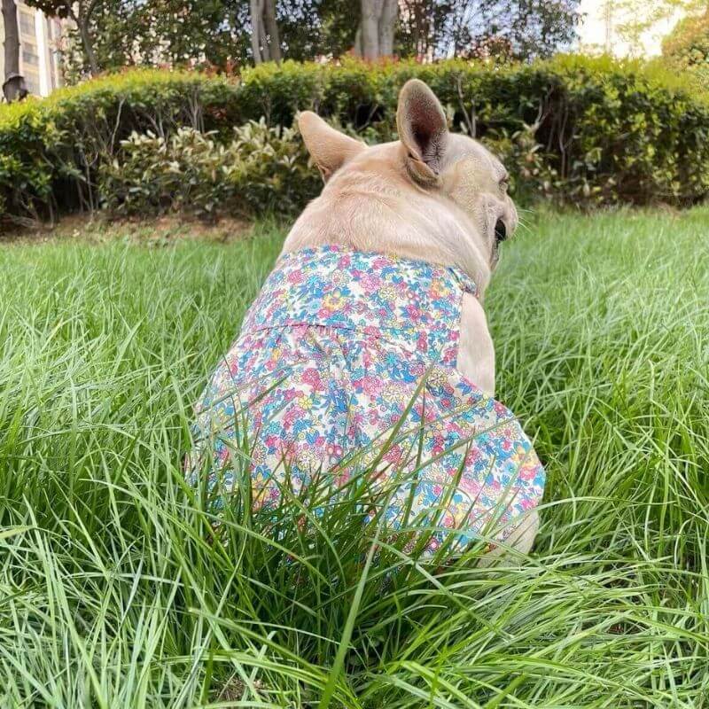Dog Floral Dress for small medium dogs by Frenchiely