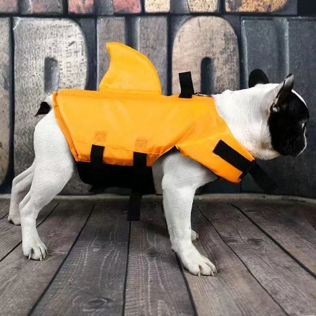 dog life vest jacket with shark fin - Frenchiely