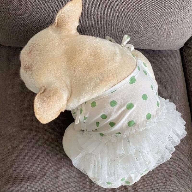 Dog Polka Dress tutu for small medium dogs by Frenchiely