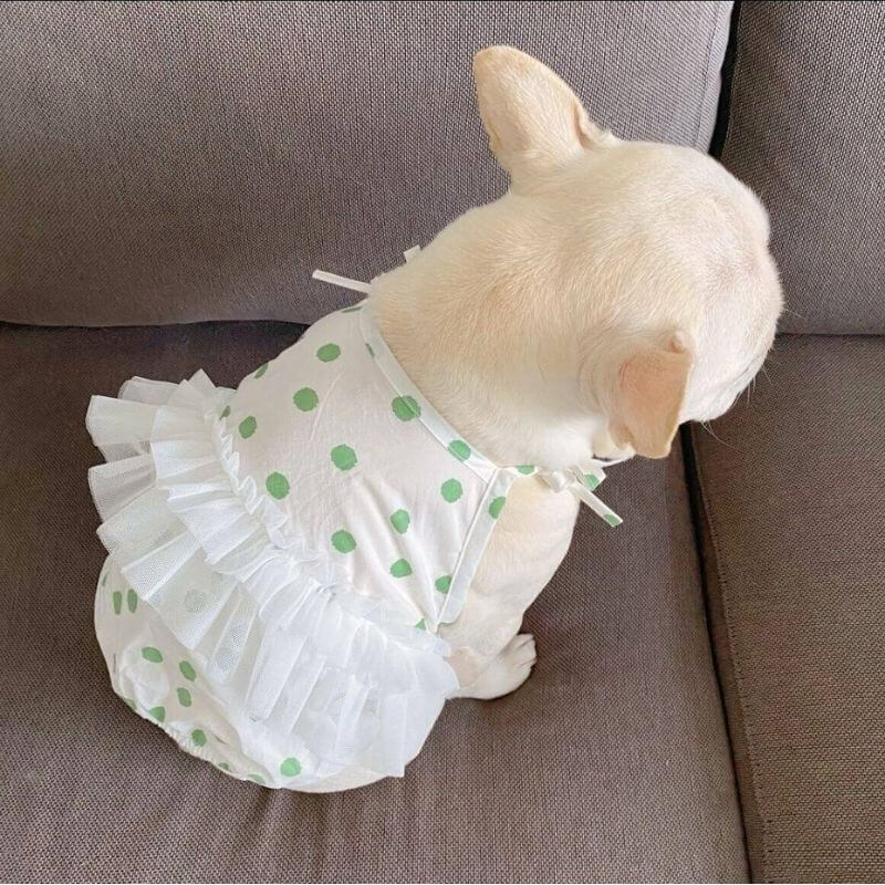 Dog Polka Dress tutu for small medium dogs by Frenchiely