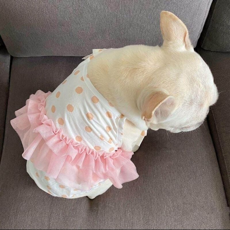 Dog Polka Dress tutu for small medium dogs by Frenchiely