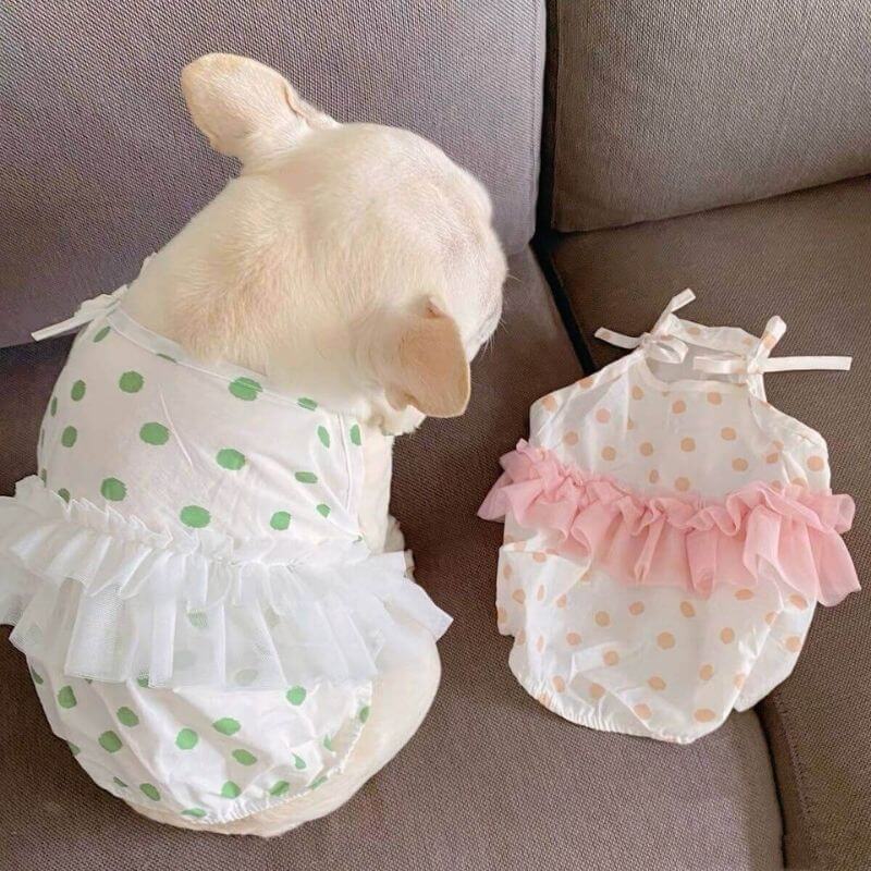 Dog Polka Dress tutu for small medium dogs by Frenchiely