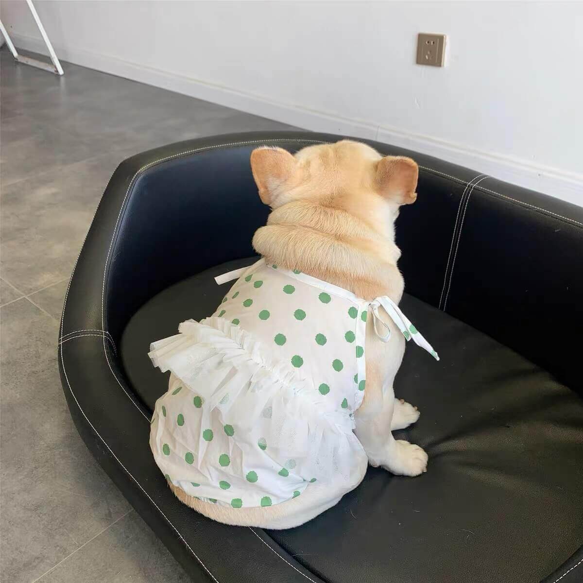 Dog Polka Dress tutu for small medium dogs by Frenchiely