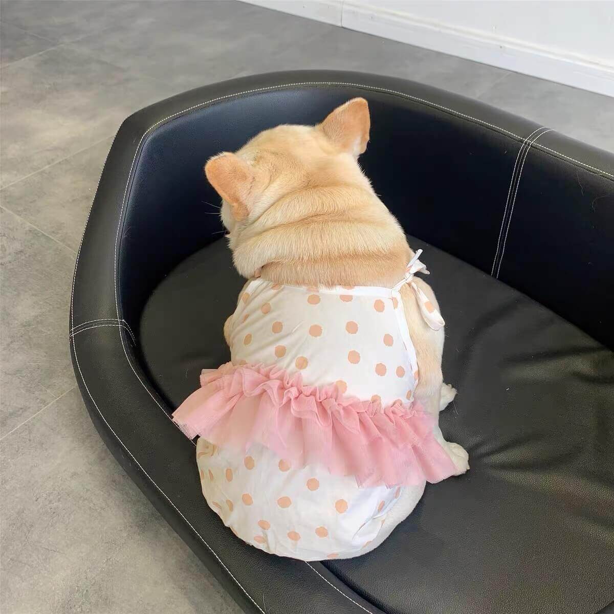 Dog Polka Dress tutu for small medium dogs by Frenchiely