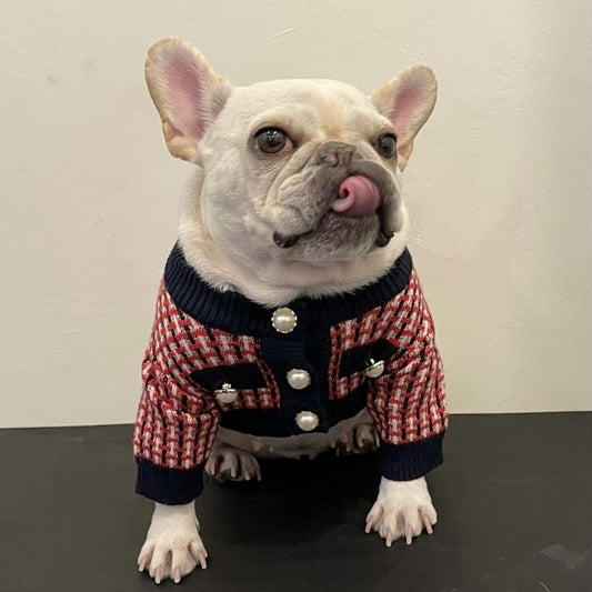 Dog Red Plaid Sweater for French Bulldogs BY FRENCHIELY