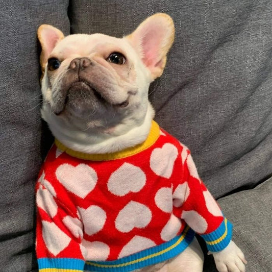 Dog Stylish Red Heart Pullover Sweater for French Bulldogs by Frenchiely