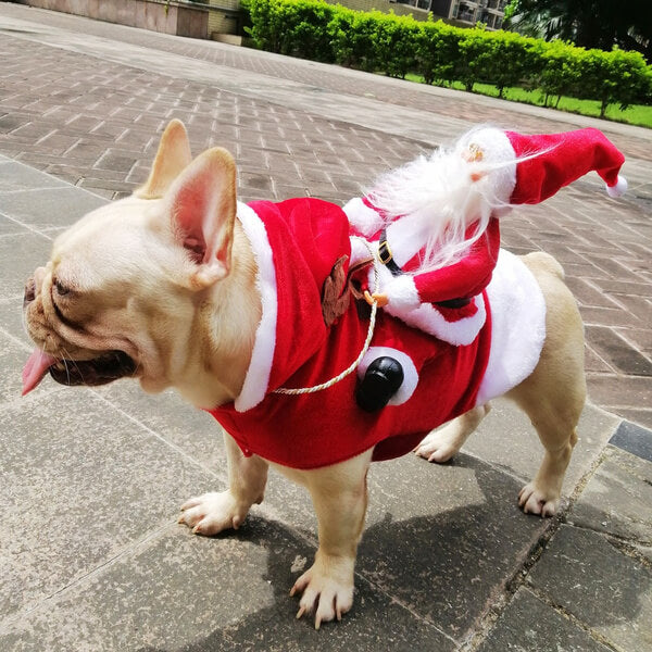 French Bulldog Santa Clause Costume Outfits