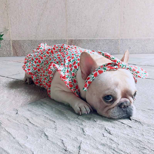 dog retro strawberry dress with headband - Frenchiely