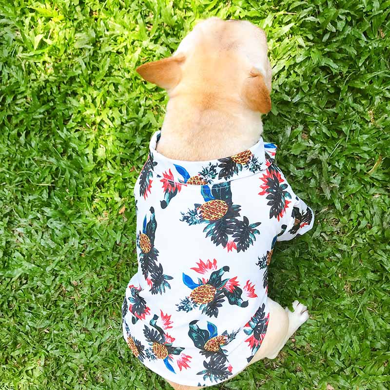 White Hawaiian shirts for French Bulldog - Frenchiely