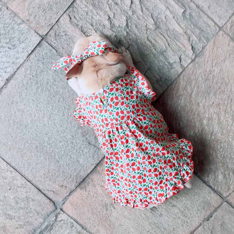 dog retro strawberry dress with headband - Frenchiely