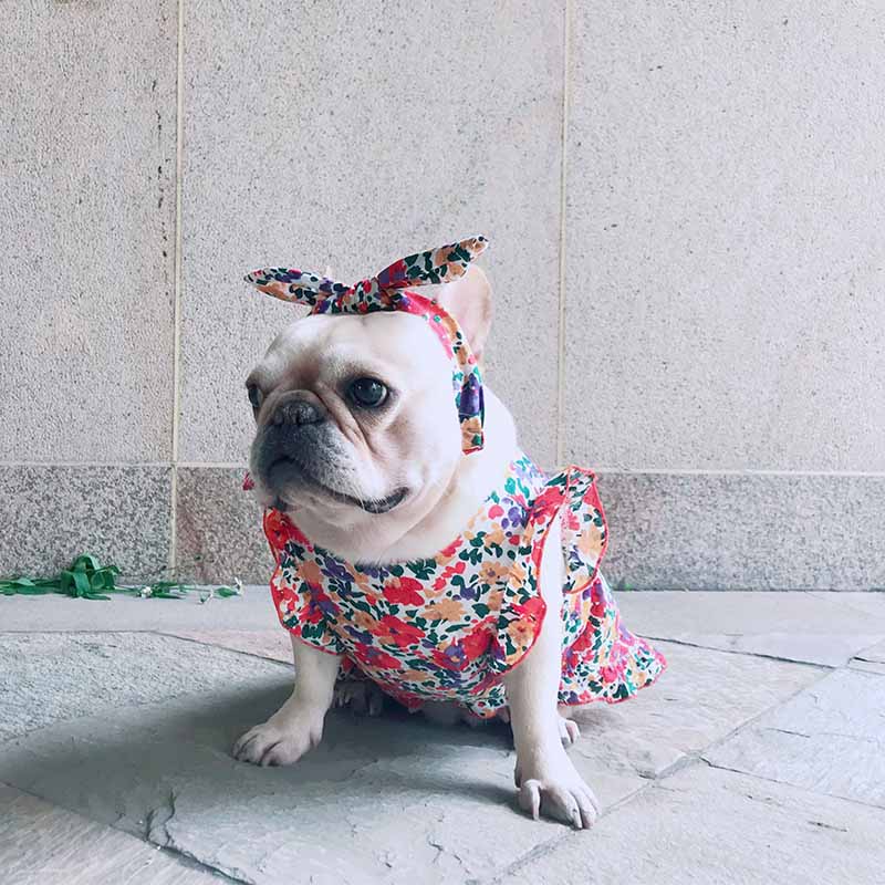 dog retro vintage floral dress - Frenchiely