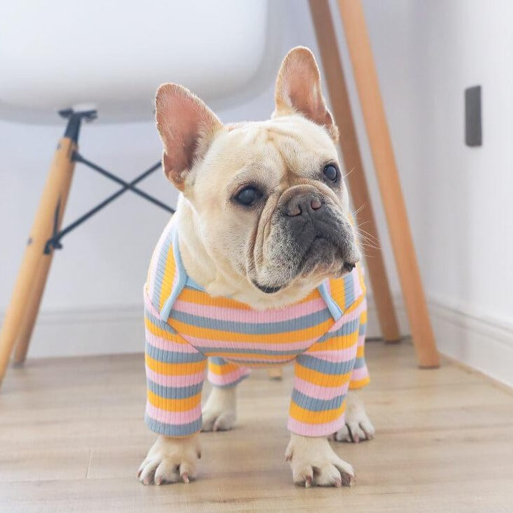 Dog Striped Pajamas PJs for Small Dogs - Frenchiely