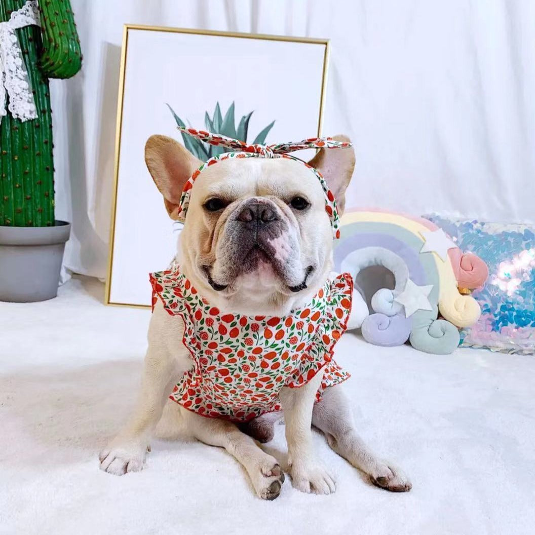 dog retro strawberry dress with headband - Frenchiely
