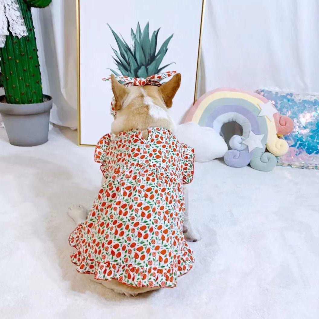 dog retro strawberry dress with headband - Frenchiely
