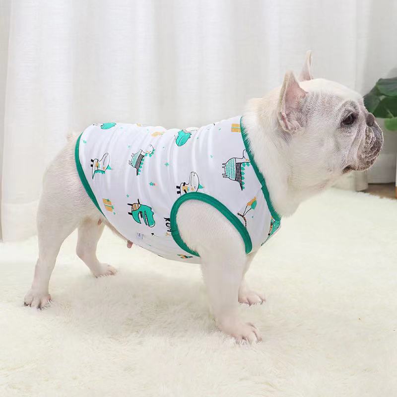 Dog Cartoon Dinosuars Shirts- Frenchiely