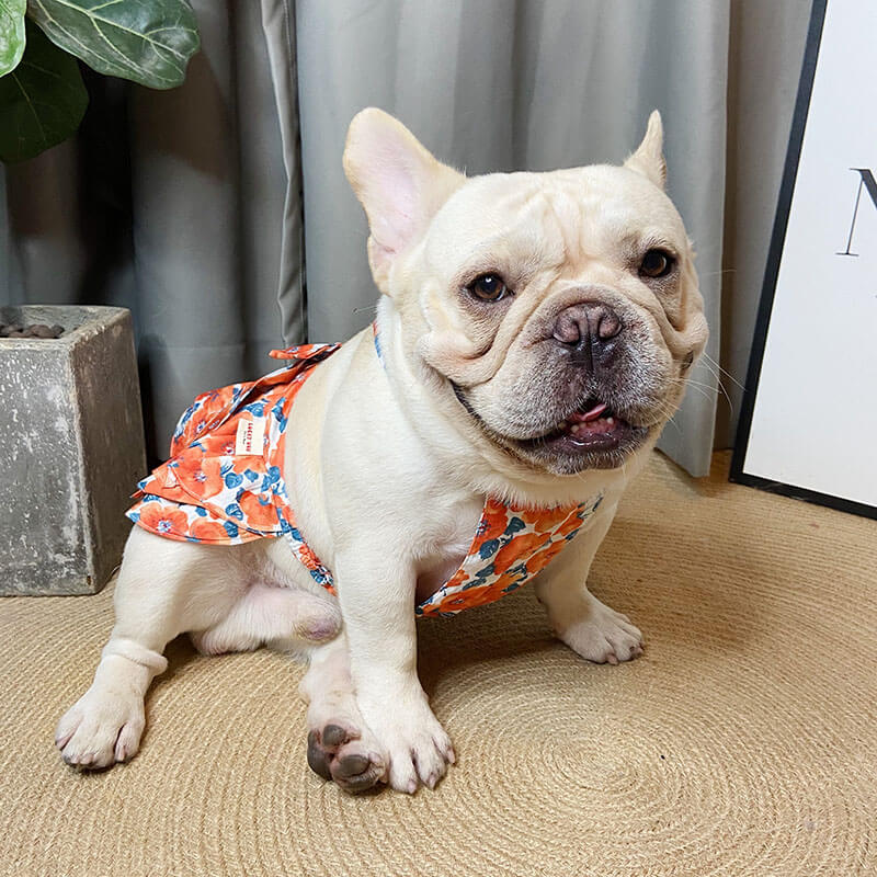 Dog Orange Floral Dress for Small Medium Dogs - Frenchiely