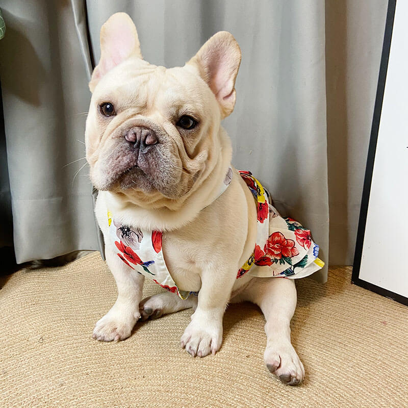 Dog White Floral Dress for French Bulldogs - Frenchiely