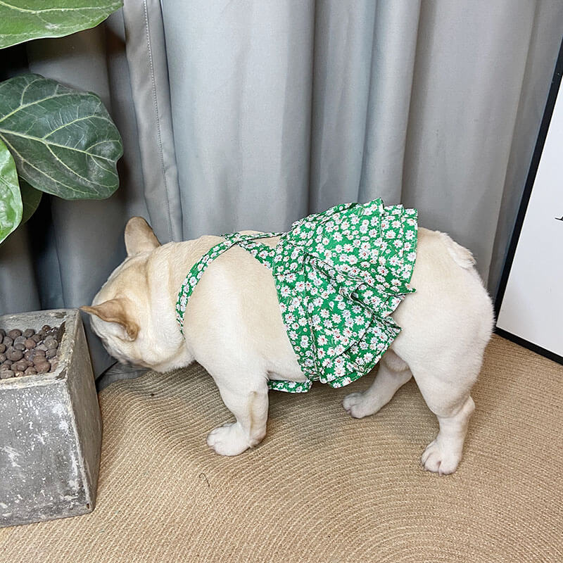 Dog Green Floral Summer Dress for Medium Dogs - Frenchiely