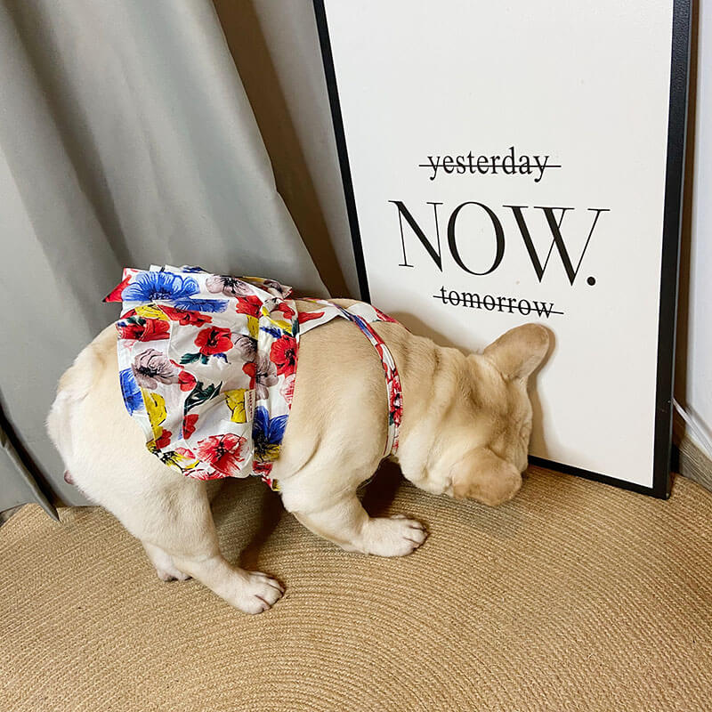 Dog White Floral Dress for French Bulldogs - Frenchiely